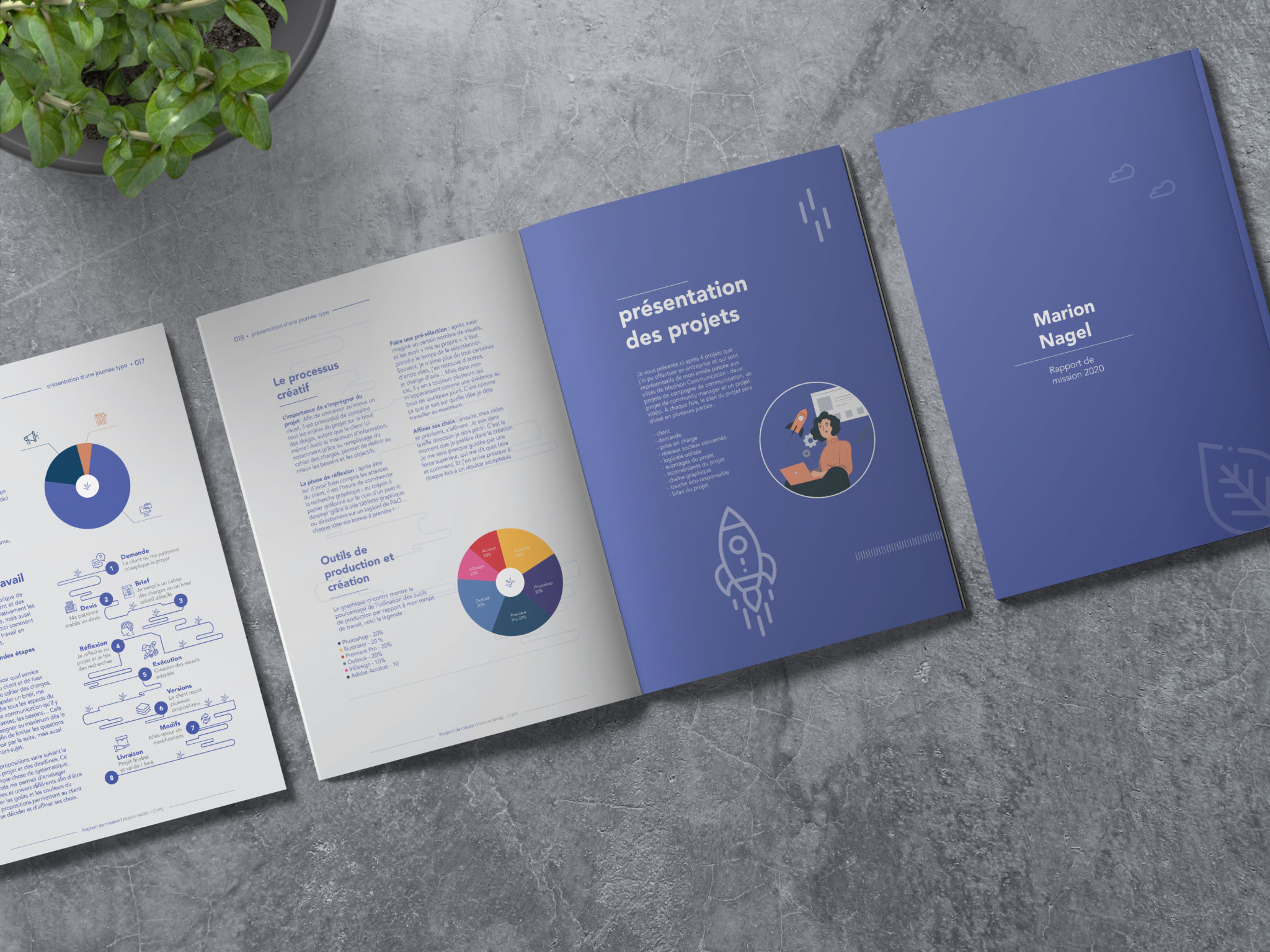 Rapport de mission mise en page – Marion Nagel