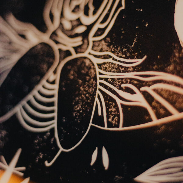 Linogravure Scarabé – Image 2