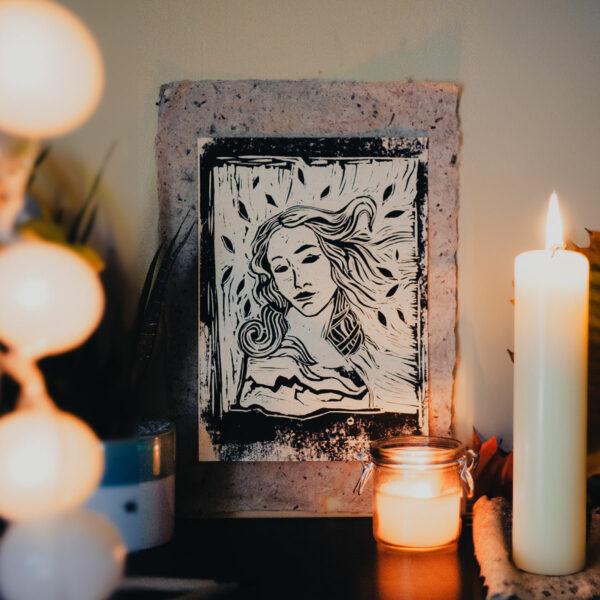 Linogravure Vénus • Botticelli