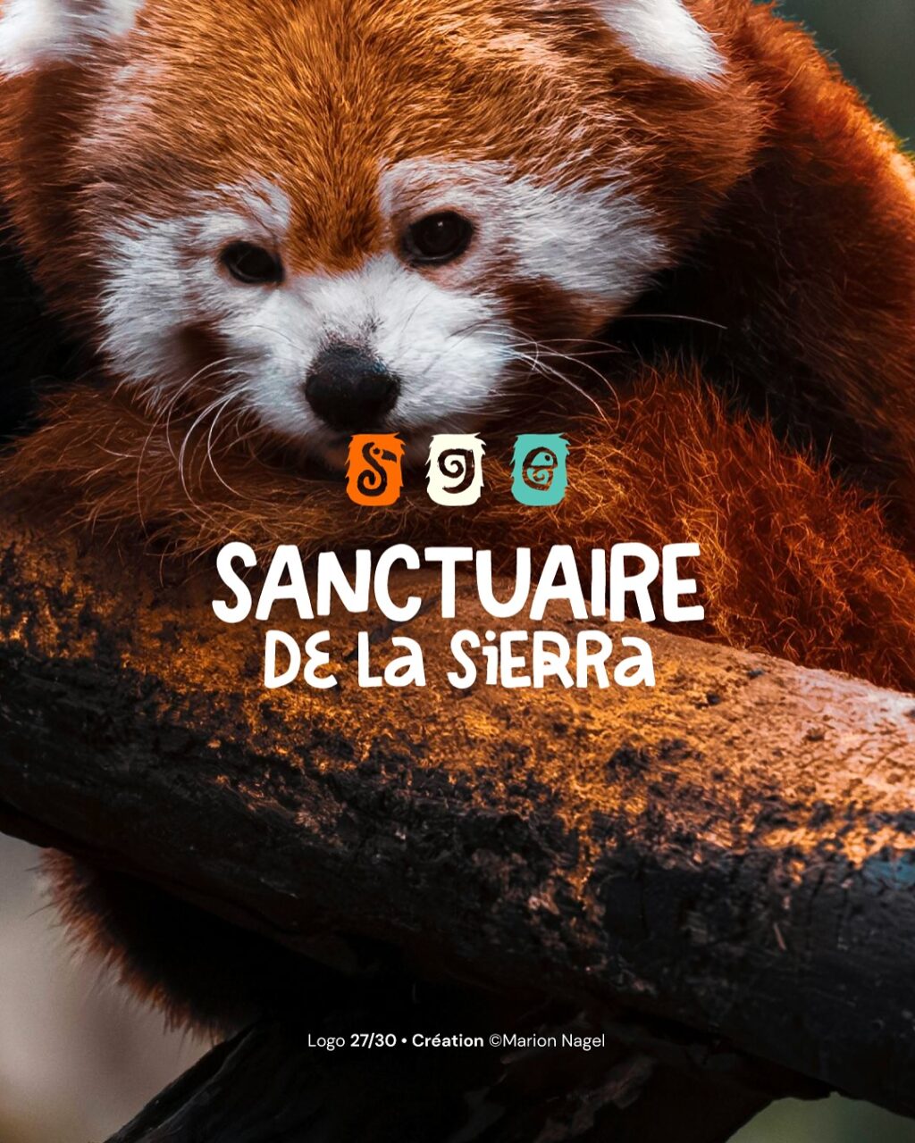 Instagram post from marionnagel. This post is in position 11.