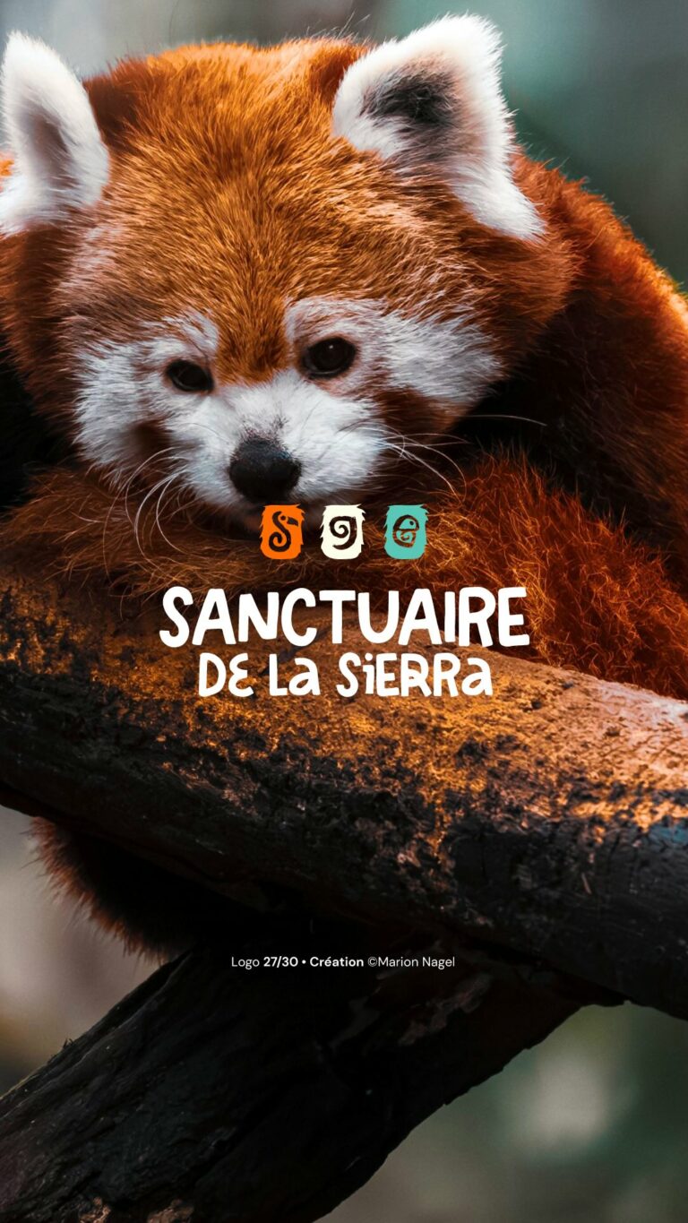 Instagram post from marionnagel. This post is in position 5.